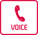 Voice